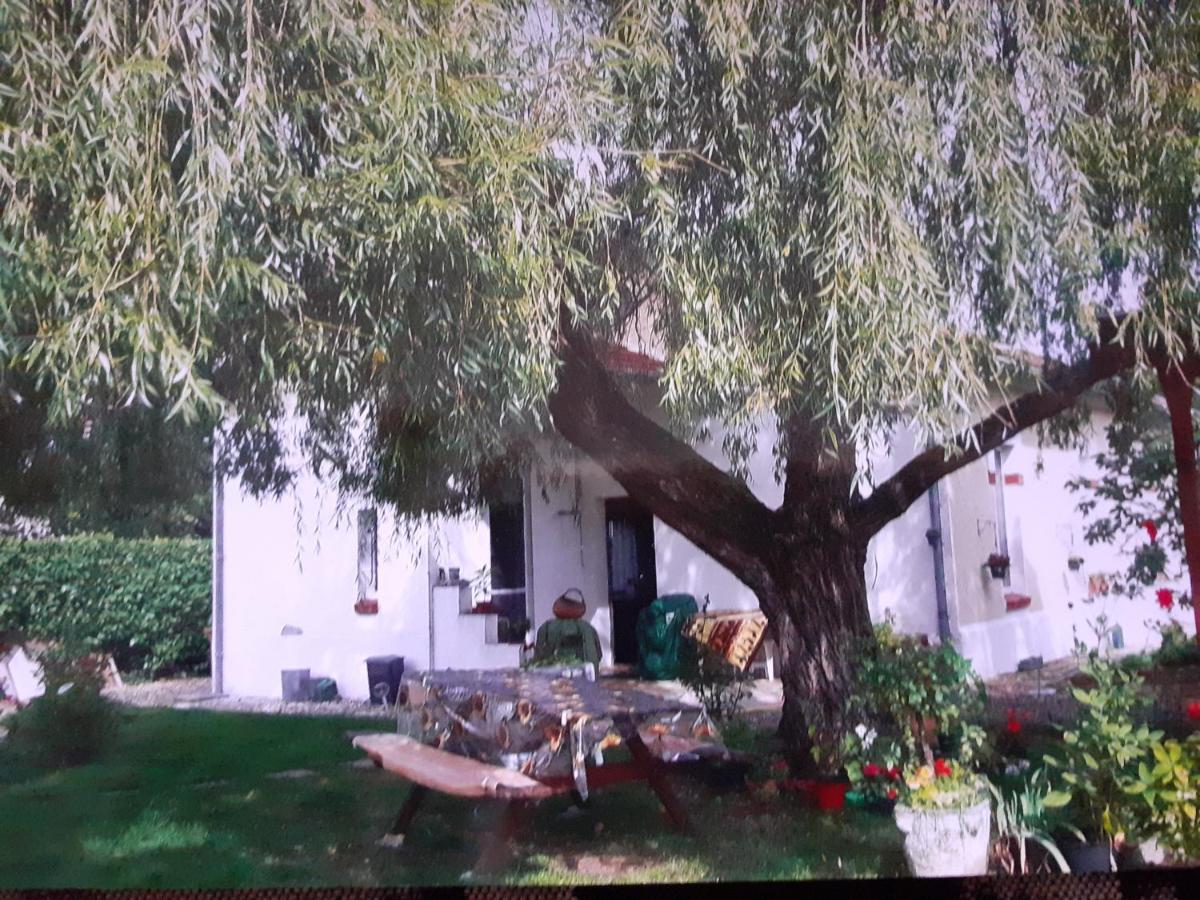 Peti Kaz Hotel Saint-Seurin-sur-l'Isle ภายนอก รูปภาพ
